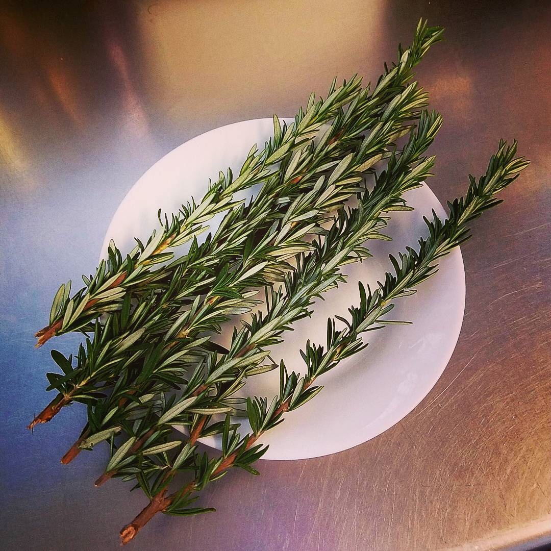 Va Bene Instagram Photo: @vabenecaffe Getting ready to roast the cashews and almonds for tonight's dinner in Soffitta. Fresh rosemary looking beautiful <3 #addicting #canteatjustone